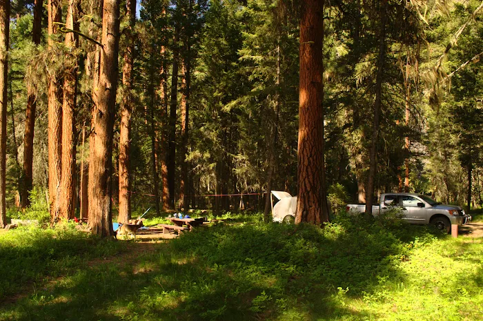 Bitterroot Flat Campground Picture 10
