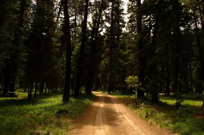 Bitterroot Flat Campground Picture 4