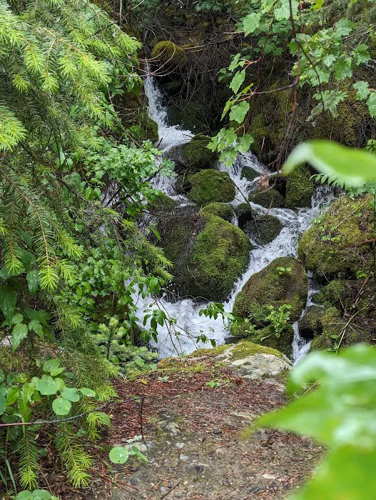 Dalles Campground Picture 9