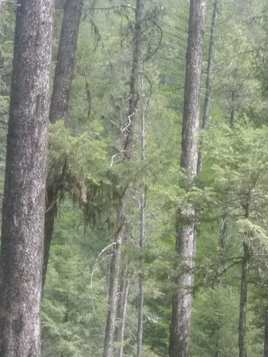 Dalles Campground Picture 10