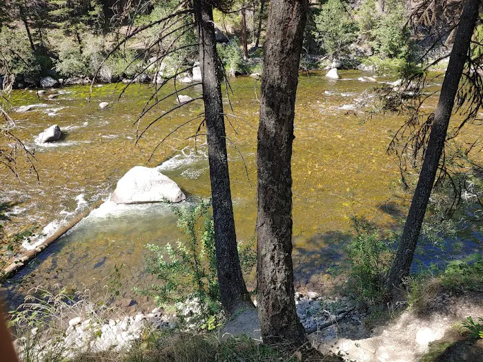 Dalles Campground Picture 2