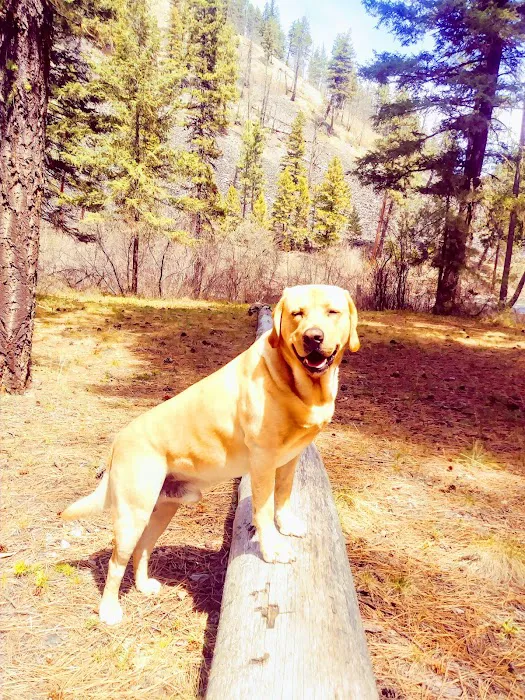 Norton Campground Picture 5