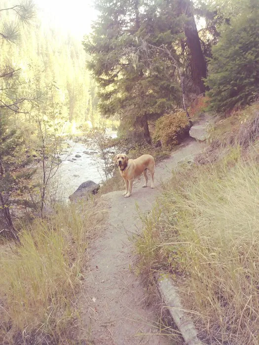 Norton Campground Picture 4