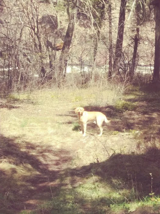 Norton Campground Picture 1