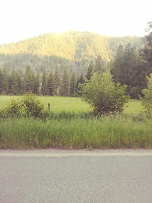 Norton Campground Picture 2