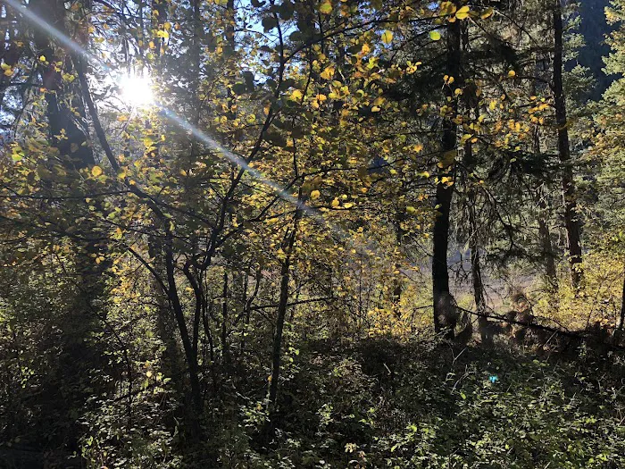 Norton Campground Picture 9