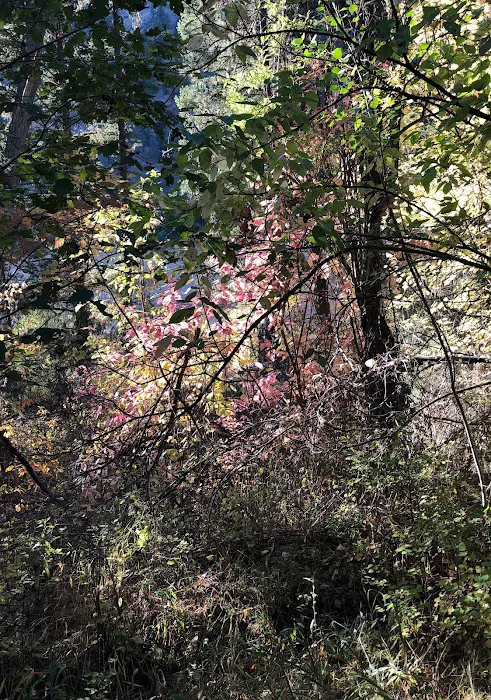 Norton Campground Picture 10