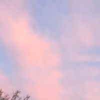 Riverside Village ico