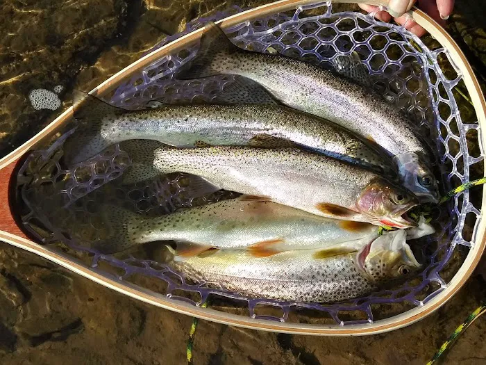 Thibodeau Campground Picture 1