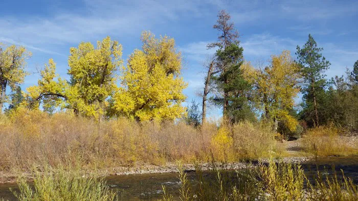 Corricks Riverbend Campground Picture 6