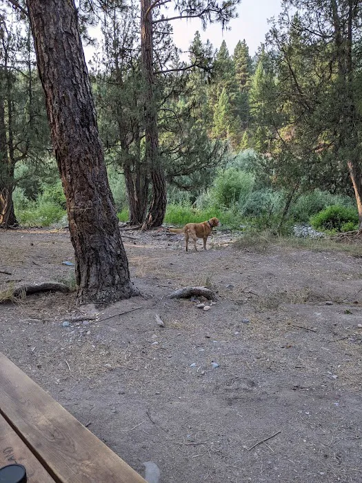 Corricks Riverbend Campground Picture 8