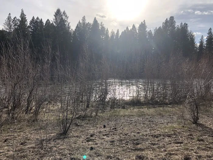 Corricks Riverbend Campground Picture 5