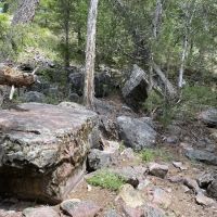 Ninemile Prairie Campground ico