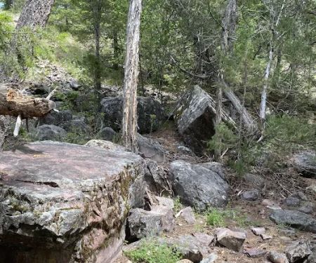 Ninemile Prairie Campground