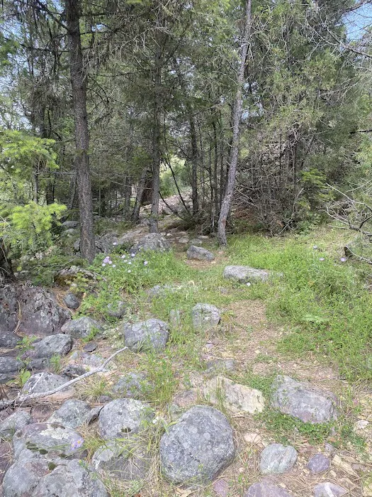 Ninemile Prairie Campground Picture 8