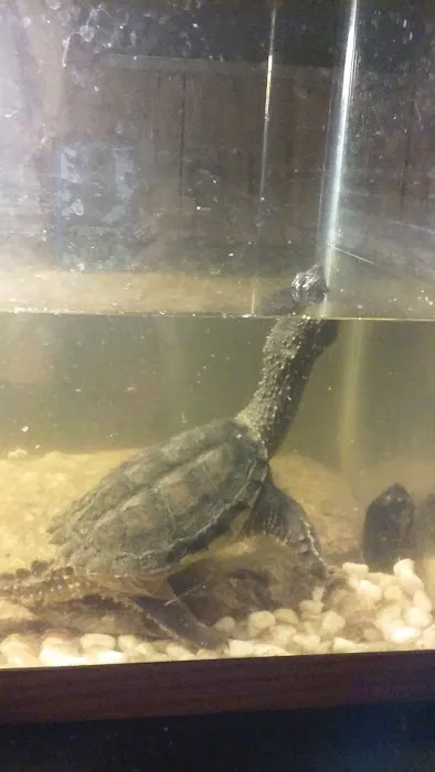 Fay Gardens Picture 5