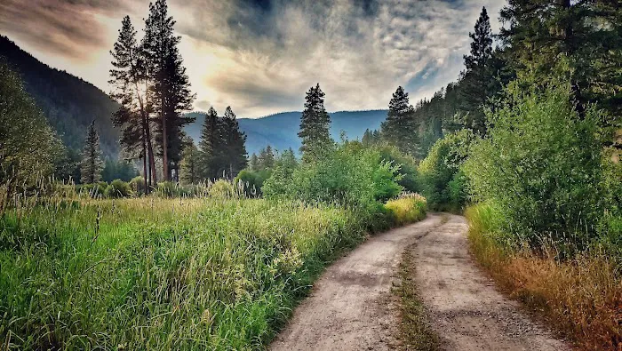 Grizzly Campground Picture 1