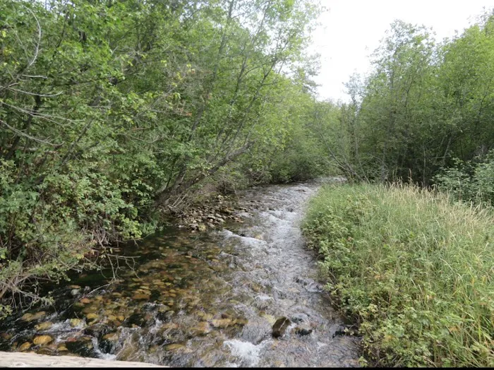 Grizzly Campground Picture 7