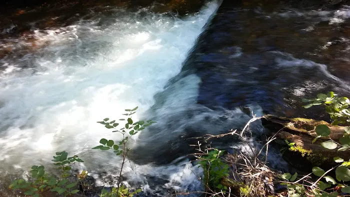 Grizzly Campground Picture 3