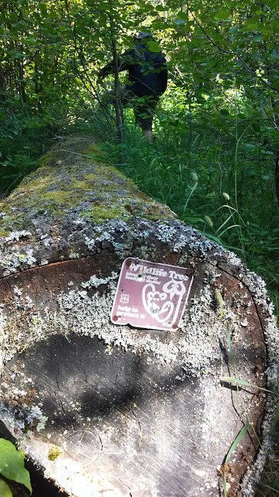 Grizzly Campground Picture 8