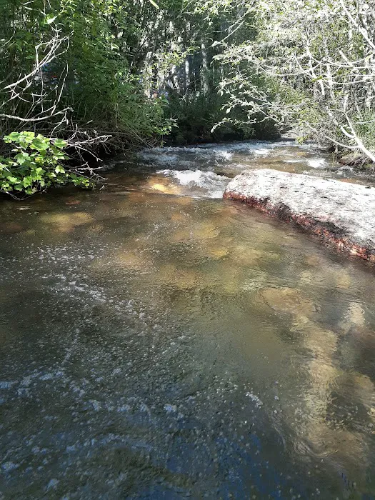 Grizzly Campground Picture 10