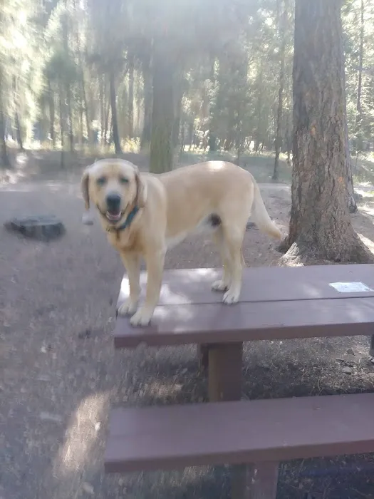 Grizzly Campground Picture 9