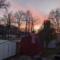 Woodville Gardens ico