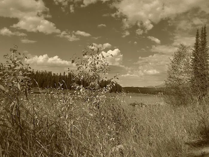 Rainy Lake Campground Picture 4