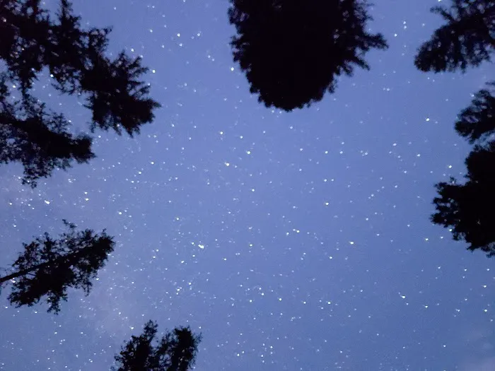 Rainy Lake Campground Picture 2