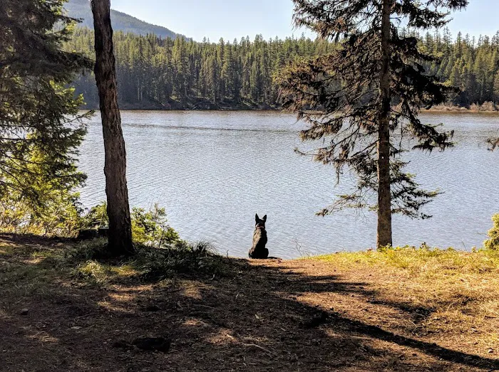 Rainy Lake Campground Picture 7