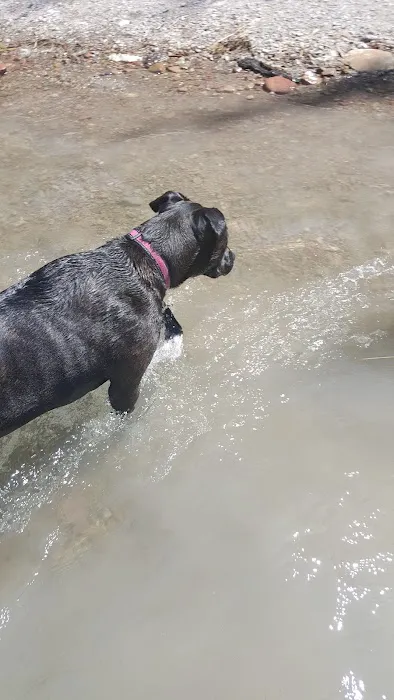 Rainy Lake Campground Picture 5