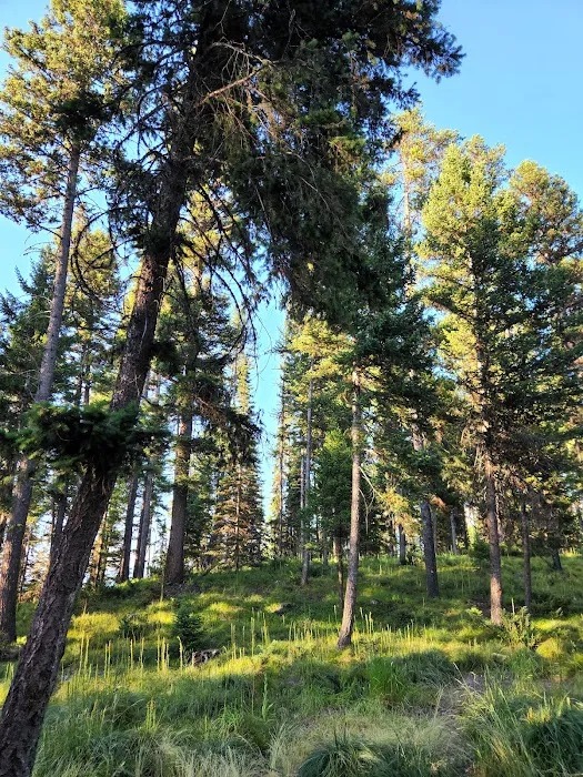 Rainy Lake Campground Picture 9