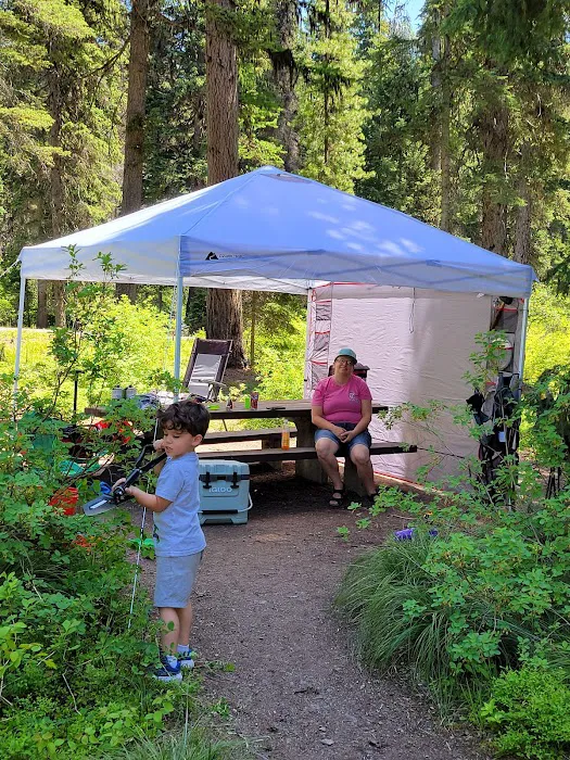 Lake Alva Campground Picture 4