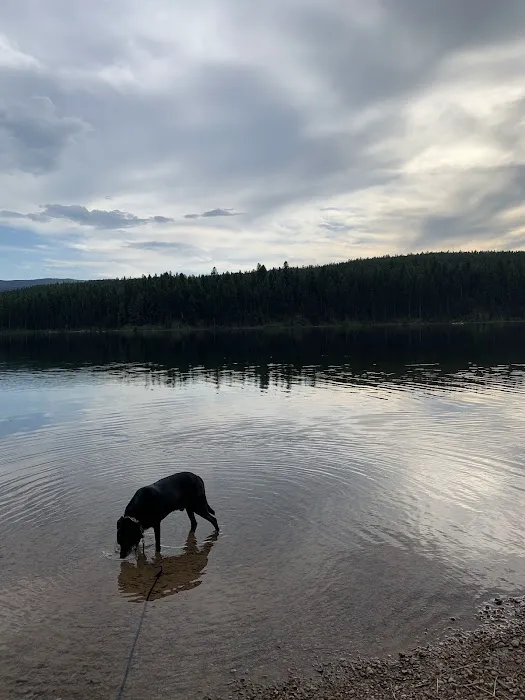 Lake Alva Campground Picture 1