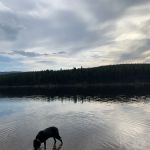 Lake Alva Campground