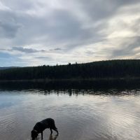 Lake Alva Campground ico