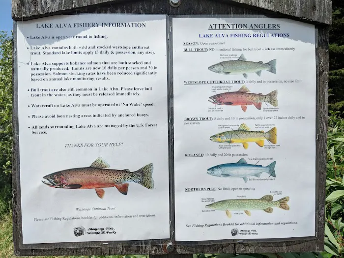 Lake Alva Campground Picture 5