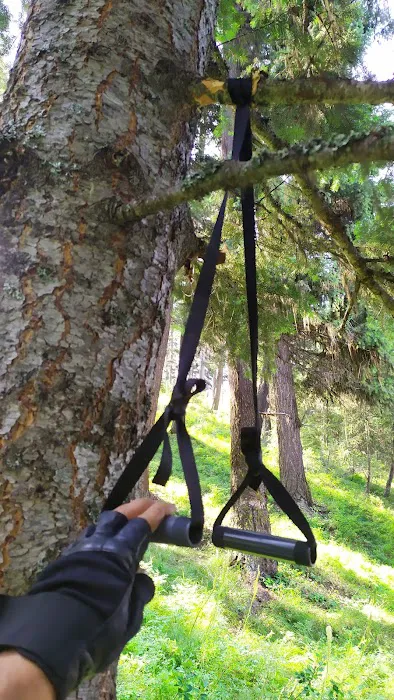 Lake Inez Campground Picture 4