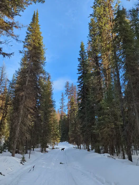 Lake Inez Campground Picture 9