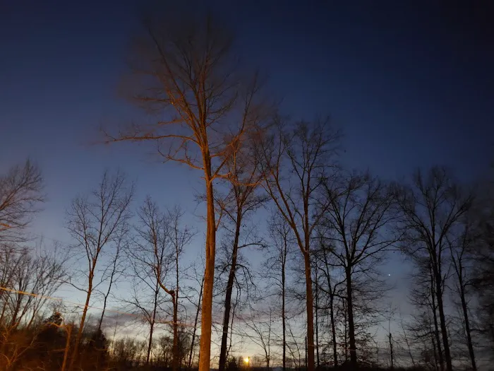 Vista Woods Picture 1