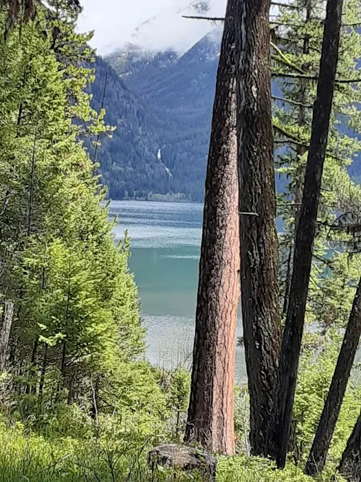 Holland Lake Campground Picture 9