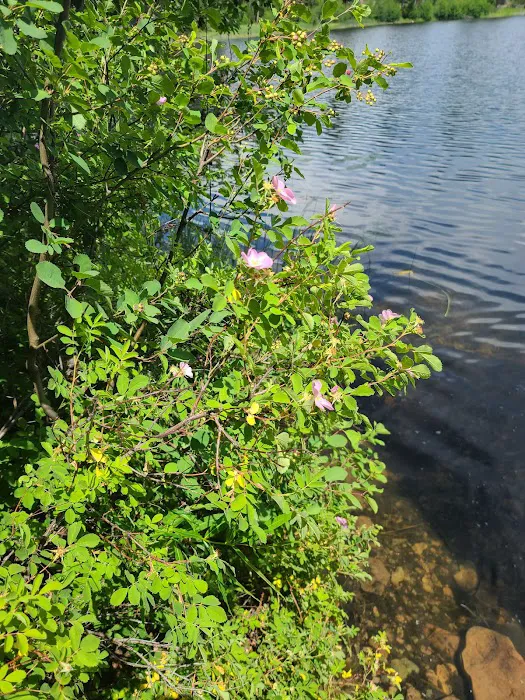 Hidden Lake Campground Picture 5