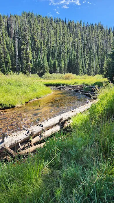 Red River Campground Picture 5
