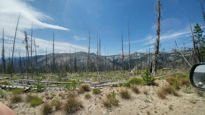 Orogrande Summit Campground Picture 2