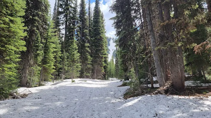 Orogrande Summit Campground Picture 4
