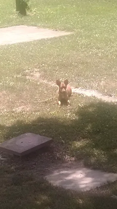 Country Acres LLC Picture 4