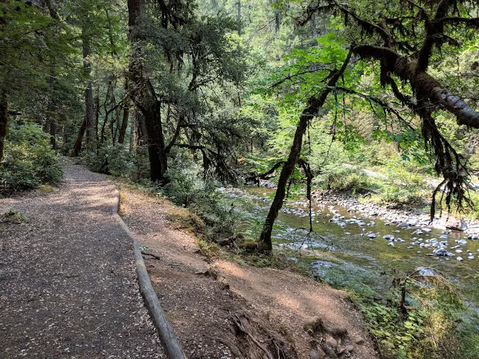 Grayback Campground Picture 4