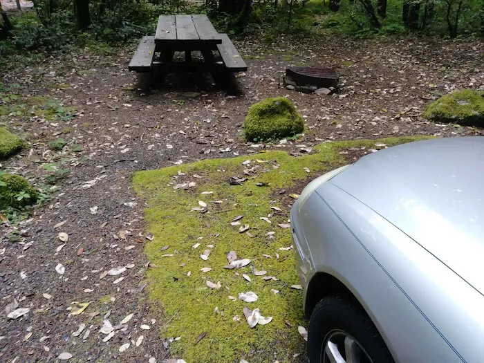 Grayback Campground Picture 1