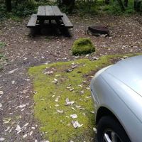 Grayback Campground ico