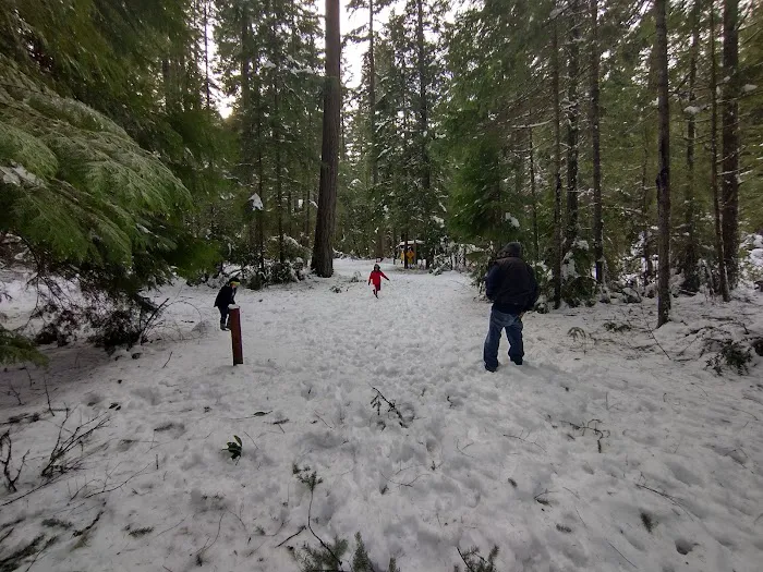 Grayback Campground Picture 2